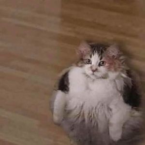 Meet your Posher, Nick